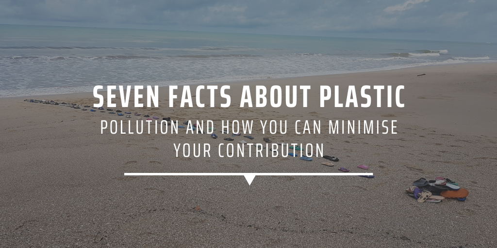 Seven Facts About Plastic Pollution And How You Can Minimise Your Contribution Gvi Usa