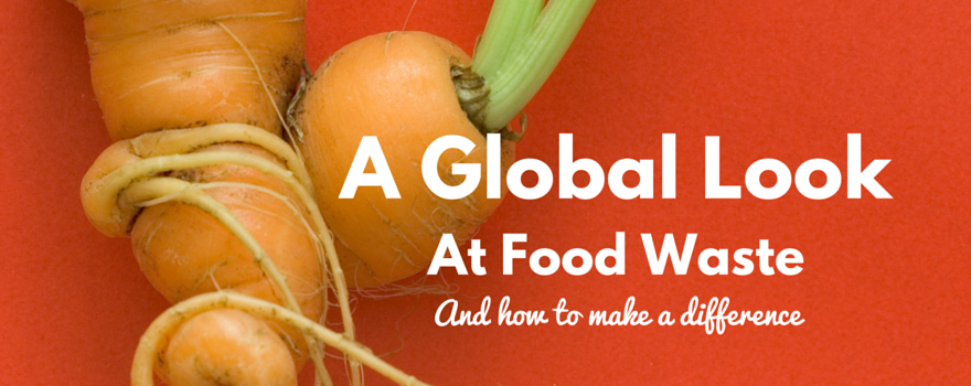 A Global Look At Food Waste And How To Make A Change | GVI USA